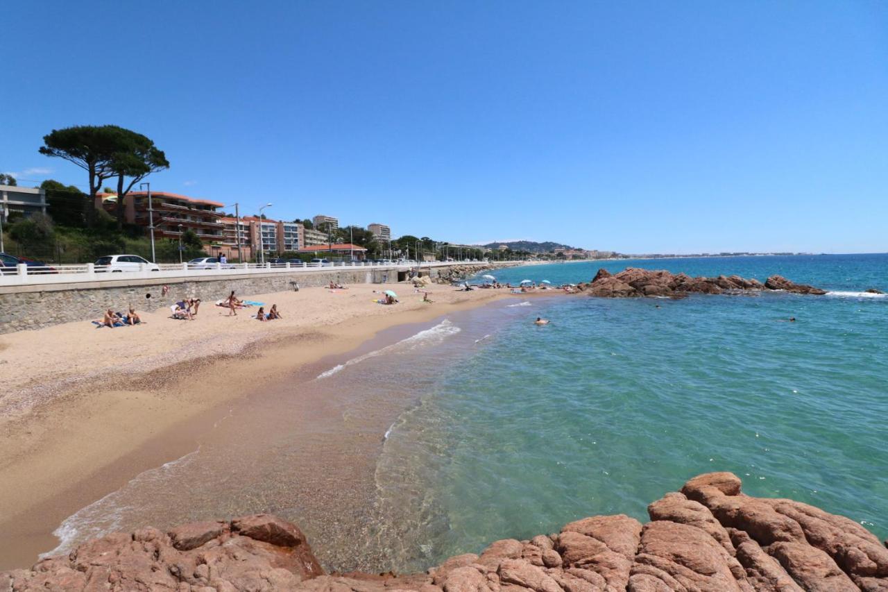 Studio With Beautiful Sea View And Direct Beach Access Cannes Bagian luar foto